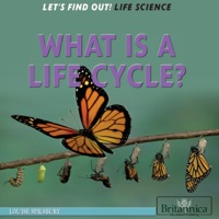 Immagine di copertina: What Is a Life Cycle? 1st edition 9781622752317