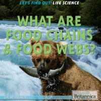 Omslagafbeelding: What Are Food Chains & Food Webs? 1st edition 9781622752362