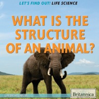 Cover image: What Is the Structure of an Animal? 1st edition 9781622752461