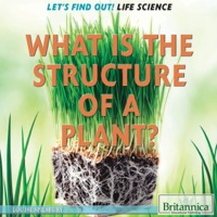 Cover image: What Is the Structure of a Plant? 1st edition 9781622752515