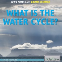 Cover image: What Is the Water Cycle? 1st edition 9781622752614