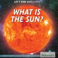 صورة الغلاف: What Is a Sun? 1st edition 9781622754618