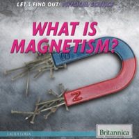 صورة الغلاف: What Is Magnetism? 1st edition 9781622754977