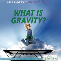 Cover image: What Is Gravity? 1st edition 9781622755127