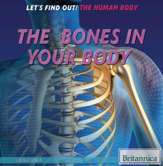 Cover image: The Bones in Your Body 1st edition 9781622756247