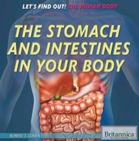 صورة الغلاف: The Stomach and Intestines in Your Body 1st edition 9781622756322