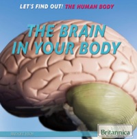 Titelbild: The Brain in Your Body 1st edition 9781622756360