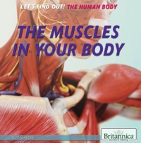 Imagen de portada: The Muscles in Your Body 1st edition 9781622756513
