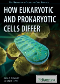 Immagine di copertina: How Eukaryotic and Prokaryotic Cells Differ 1st edition 9781622758067