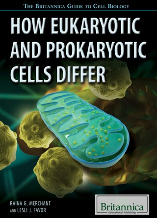 Cover image: How Eukaryotic and Prokaryotic Cells Differ 1st edition 9781622758067