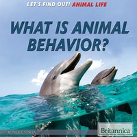 Cover image: What Is Animal Behavior? 1st edition 9781622759910