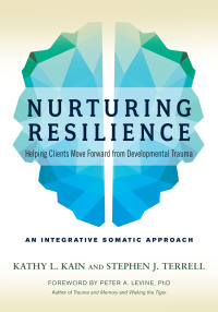 Cover image: Nurturing Resilience 9781623172039