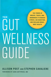 Cover image: The Gut Wellness Guide 9781623172565