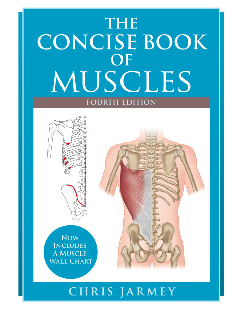 The Concise Book of Muscles, 4th Edition - FULL INSTANT DOWNLOAD | PDF DOCX EPUB