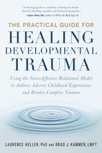 Cover image: The Practical Guide for Healing Developmental Trauma 9781623174538