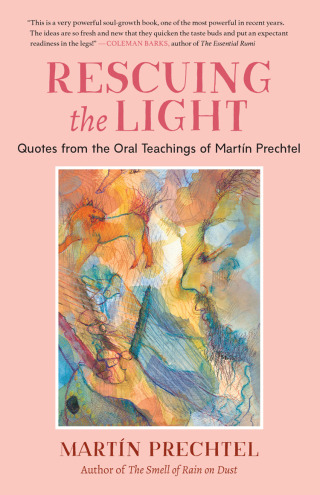 Cover image: Rescuing the Light 9781623176273