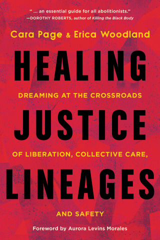 Cover image: Healing Justice Lineages 9781623177140