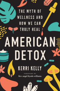 Cover image: American Detox 9781623177249