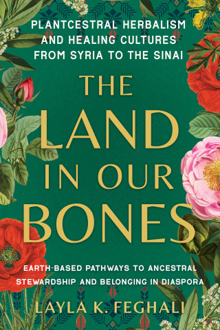 Cover image: The Land in Our Bones 9781623179144