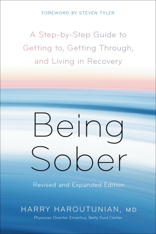 Cover image: Being Sober 9781623360054