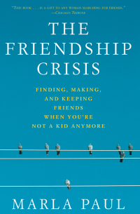 Cover image: The Friendship Crisis 9781594861574