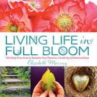 Cover image: Living Life in Full Bloom 9781623361204