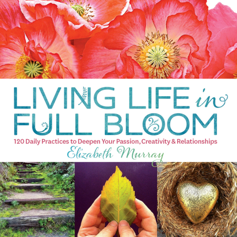 Living Life in Full Bloom : 120 Daily Practices to Deepen Your Passion, Creativity & Relationships - FULL INSTANT DOWNLOAD | PDF DOCX EPUB