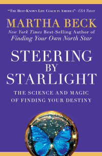 Cover image: Steering by Starlight 9781605298641