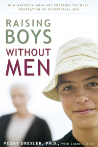 Cover image: Raising Boys without Men 9781594865381