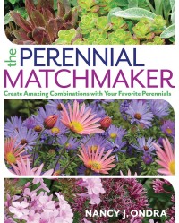 Cover image: The Perennial Matchmaker 9781623365387