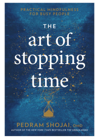 Cover image: The Art of Stopping Time 9781623369095