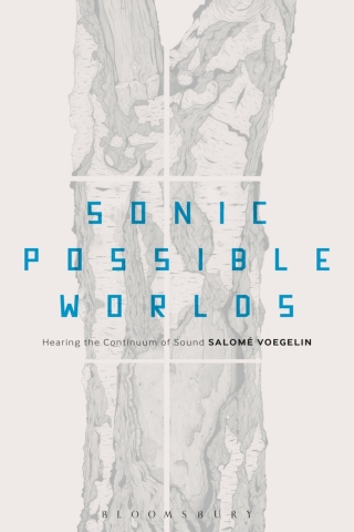 Cover image: Sonic Possible Worlds 1st edition 9781623565091