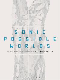 Immagine di copertina: Sonic Possible Worlds 1st edition 9781623565091