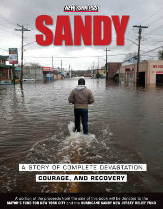 Imagen de portada: Sandy 9781600789182
