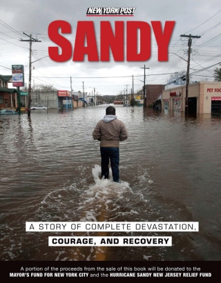 Imagen de portada: Sandy 9781600789182