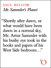 Omslagafbeelding: Mr. Sammler's Planet