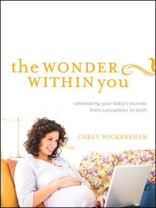 Imagen de portada: The Wonder Within You 9781624051418