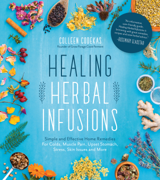 Cover image: Healing Herbal Infusions 9781624146473