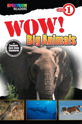 Imagen de portada: Wow! Big Animals 9781623991340