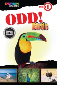 Imagen de portada: Odd! Birds 9781623991388
