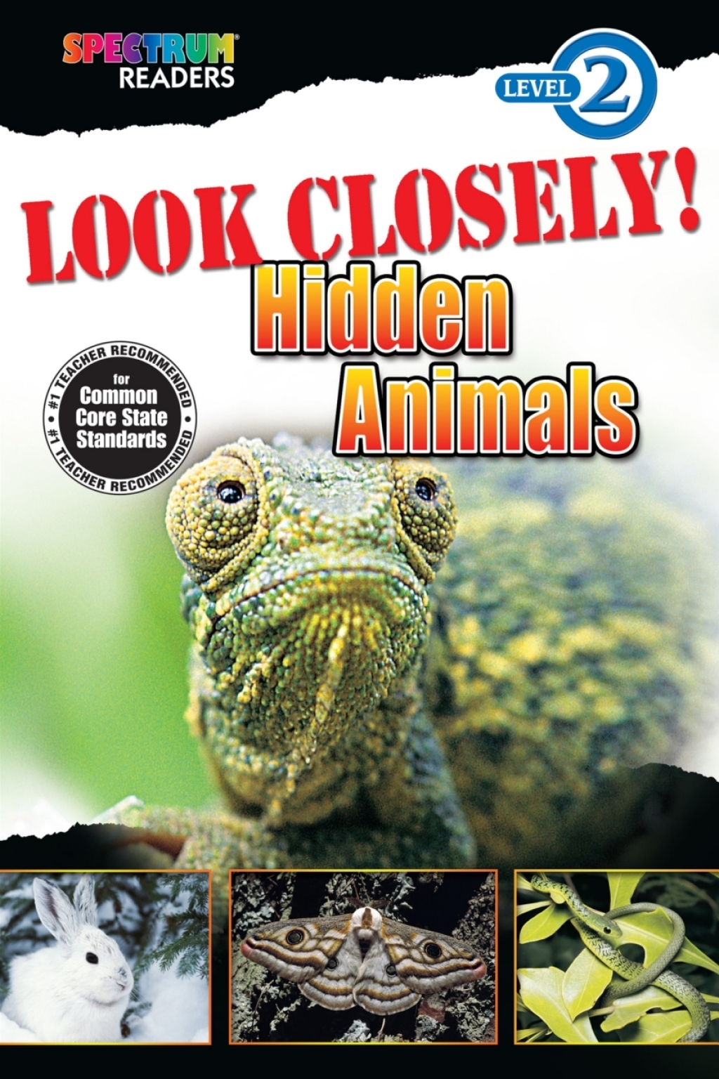 Look Closely! Hidden Animals Level 2