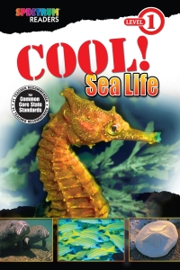 Omslagafbeelding: Cool! Sea Life 9781623991364