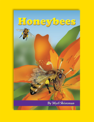 صورة الغلاف: Honeybees 9781580373562