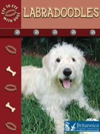 Cover image: Labradoodles 1st edition 9781604723632