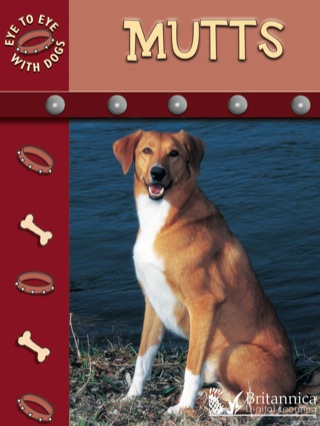 Imagen de portada: Mutts 1st edition 9781604723649