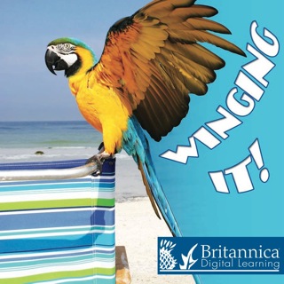 Cover image: Winging It! 1st edition 9781604724486