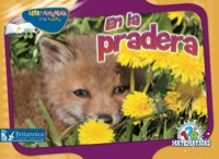 Cover image: En la pradera (Over in the Meadow) 1st edition 9781617416293