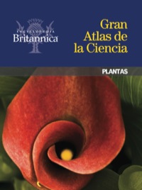صورة الغلاف: Plantas 1st edition 9781625131324