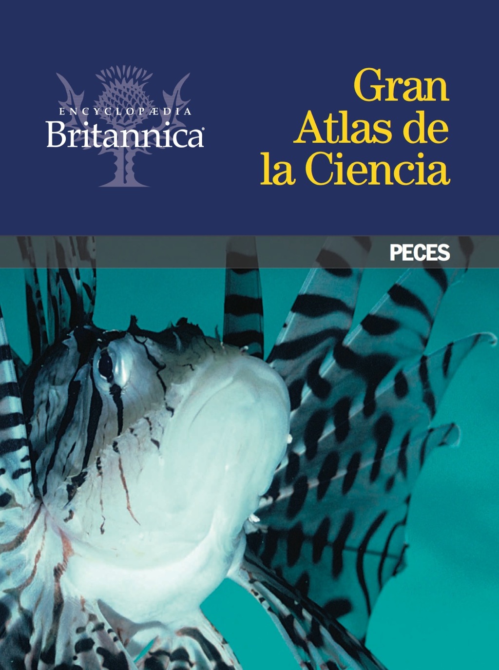 Peces 1st Edition