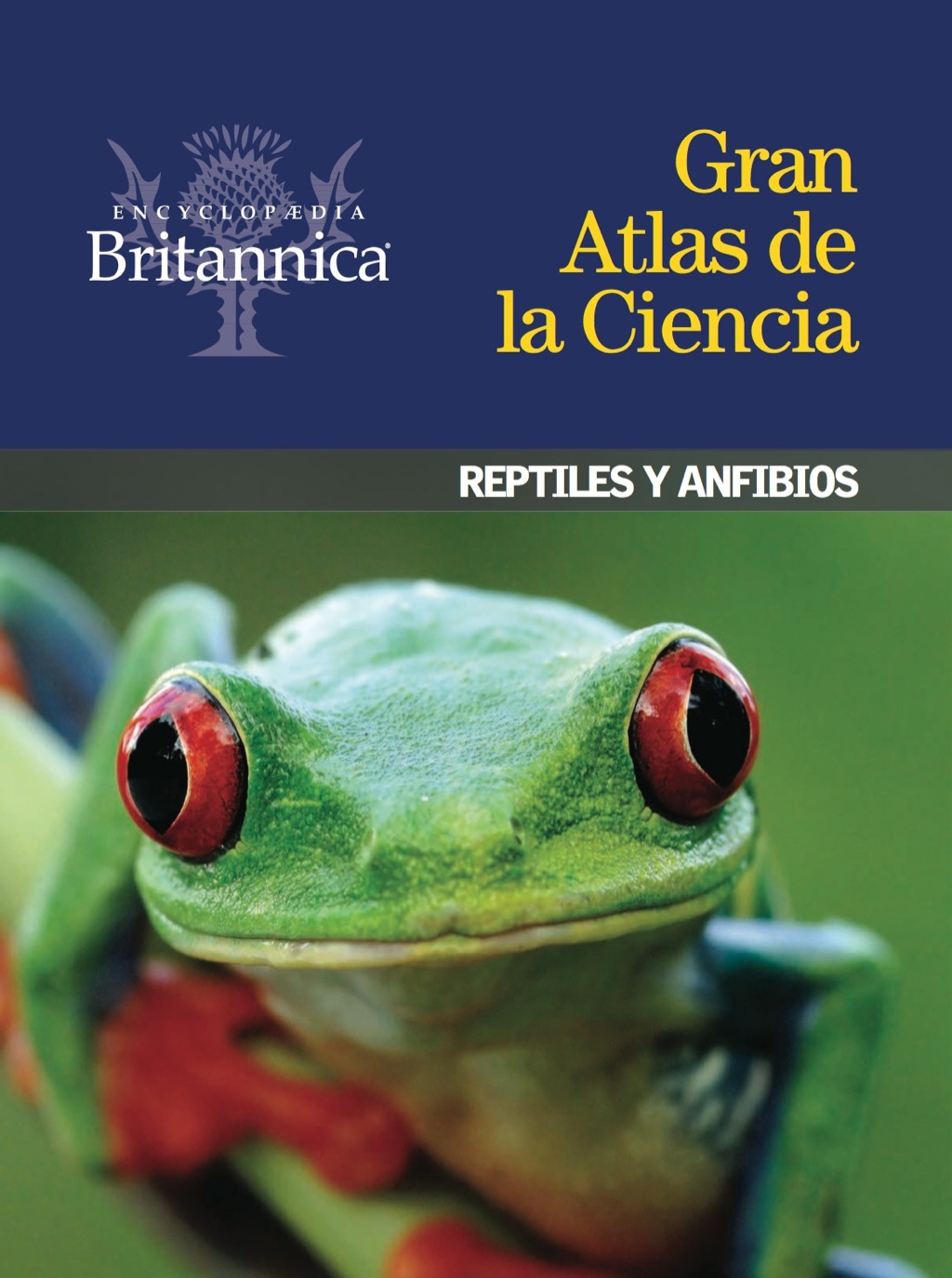 Reptiles y anfibios 1st Edition